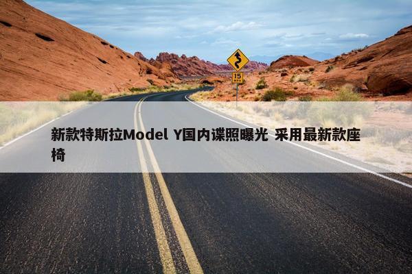 新款特斯拉Model Y国内谍照曝光 采用最新款座椅