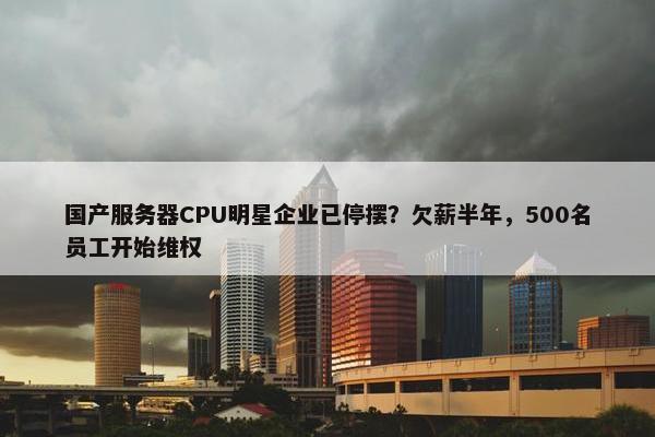 国产服务器CPU明星企业已停摆？欠薪半年，500名员工开始维权