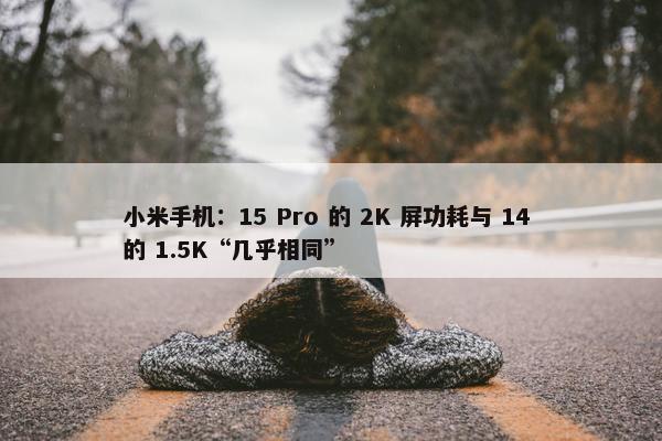 小米手机：15 Pro 的 2K 屏功耗与 14 的 1.5K“几乎相同”