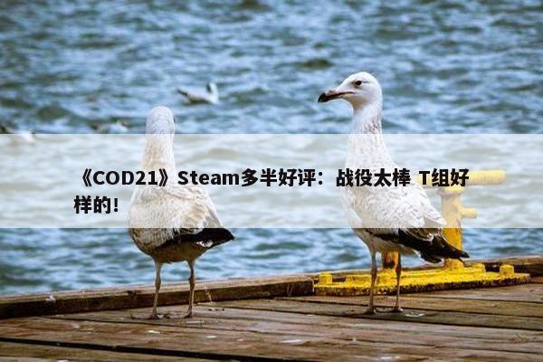 《COD21》Steam多半好评：战役太棒 T组好样的！