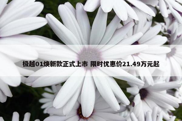 极越01焕新款正式上市 限时优惠价21.49万元起