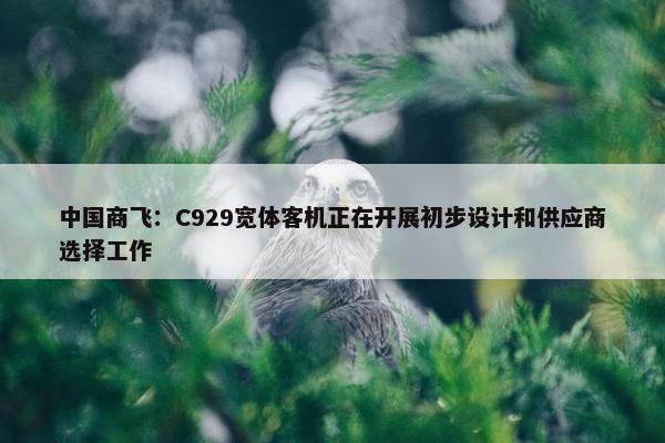 中国商飞：C929宽体客机正在开展初步设计和供应商选择工作