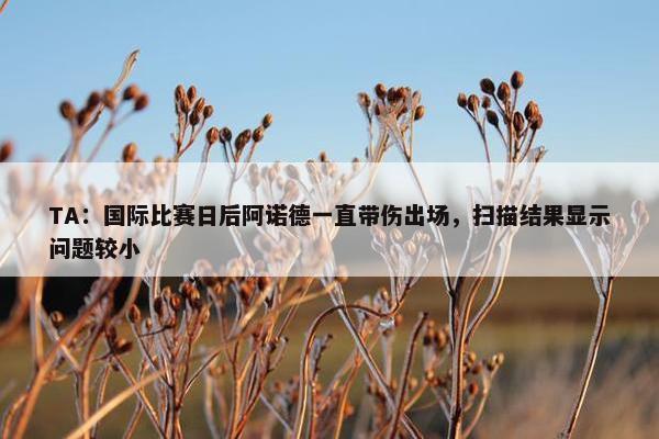 TA：国际比赛日后阿诺德一直带伤出场，扫描结果显示问题较小