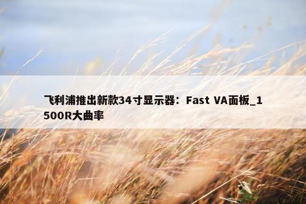 飞利浦推出新款34寸显示器：Fast VA面板_1500R大曲率