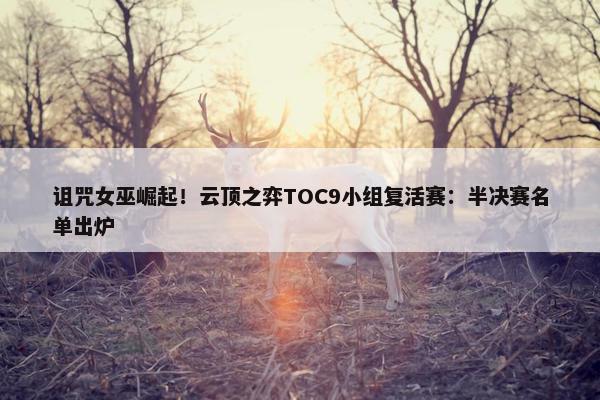 诅咒女巫崛起！云顶之弈TOC9小组复活赛：半决赛名单出炉