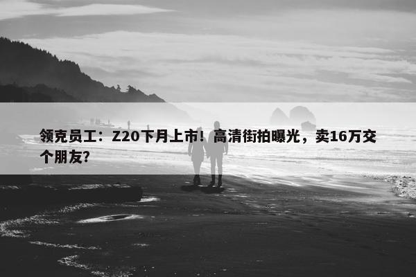 领克员工：Z20下月上市！高清街拍曝光，卖16万交个朋友？