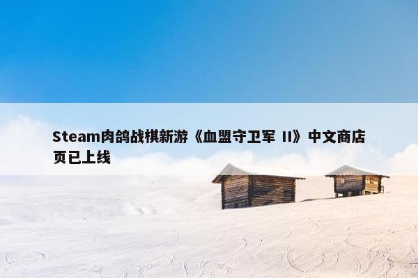 Steam肉鸽战棋新游《血盟守卫军 II》中文商店页已上线