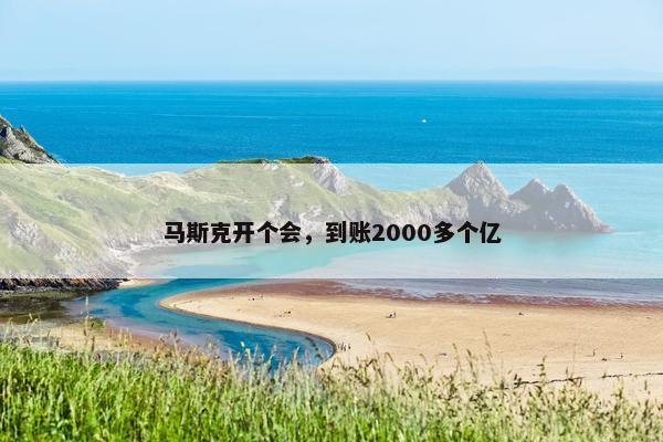 马斯克开个会，到账2000多个亿