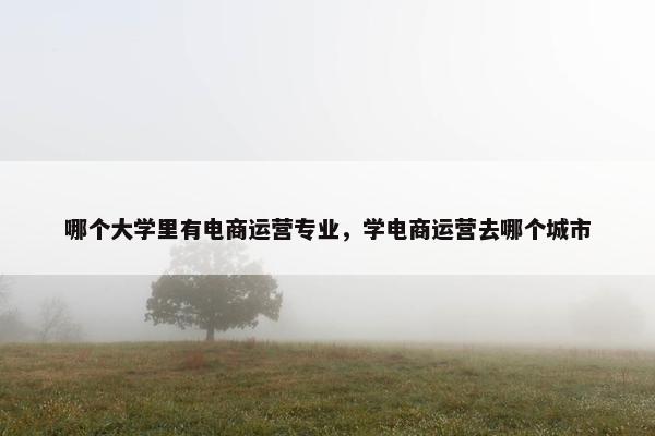 哪个大学里有电商运营专业，学电商运营去哪个城市