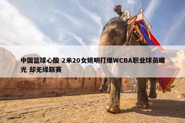 中国篮球心酸 2米20女姚明打爆WCBA职业球员曝光 却无缘联赛