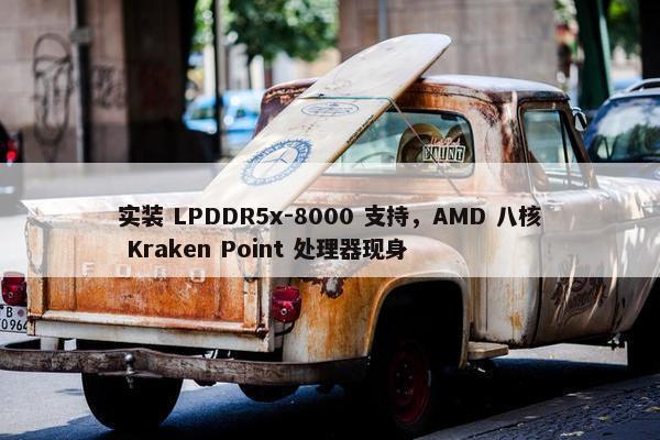 实装 LPDDR5x-8000 支持，AMD 八核 Kraken Point 处理器现身