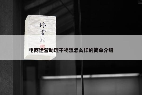 电商运营助理干物流怎么样的简单介绍