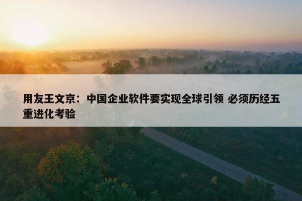 用友王文京：中国企业软件要实现全球引领 必须历经五重进化考验