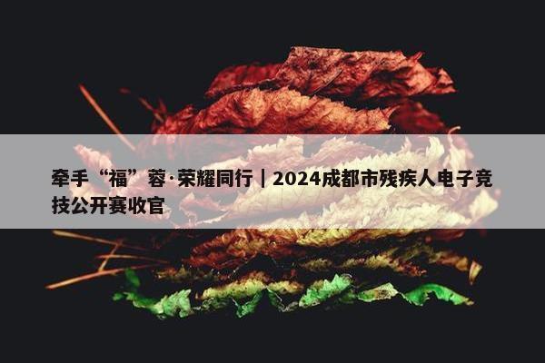 牵手“福”蓉·荣耀同行｜2024成都市残疾人电子竞技公开赛收官