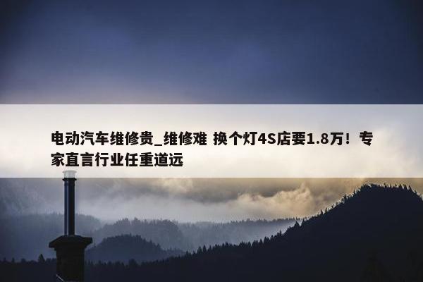 电动汽车维修贵_维修难 换个灯4S店要1.8万！专家直言行业任重道远