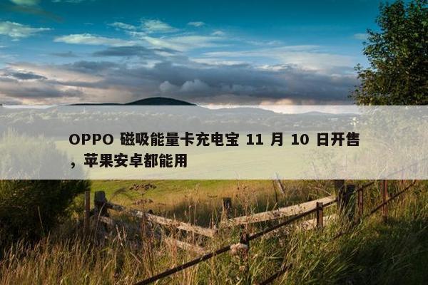 OPPO 磁吸能量卡充电宝 11 月 10 日开售，苹果安卓都能用