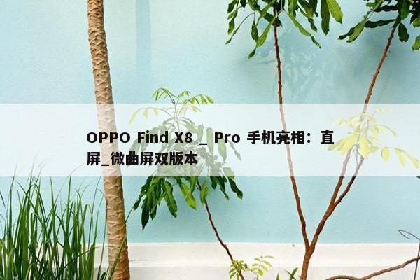 OPPO Find X8 _ Pro 手机亮相：直屏_微曲屏双版本