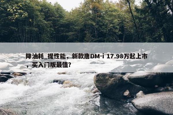 降油耗_提性能，新款唐DM-i 17.98万起上市，买入门版最值？