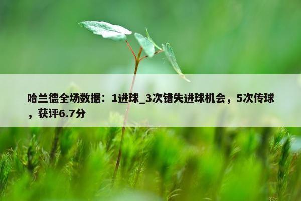 哈兰德全场数据：1进球_3次错失进球机会，5次传球，获评6.7分