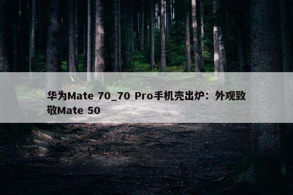 华为Mate 70_70 Pro手机壳出炉：外观致敬Mate 50