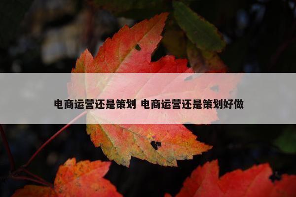 电商运营还是策划 电商运营还是策划好做