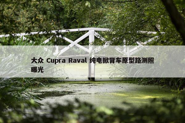 大众 Cupra Raval 纯电掀背车原型路测照曝光