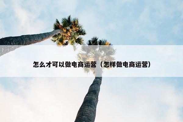 怎么才可以做电商运营（怎样做电商运营）