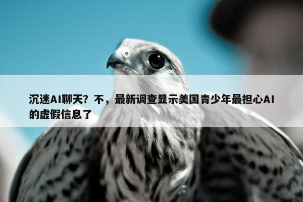 沉迷AI聊天？不，最新调查显示美国青少年最担心AI的虚假信息了