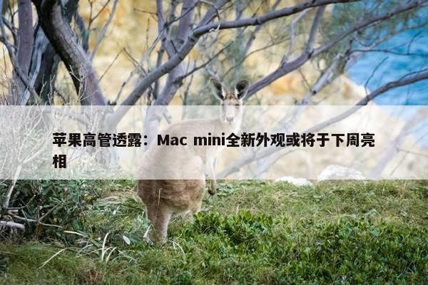 苹果高管透露：Mac mini全新外观或将于下周亮相