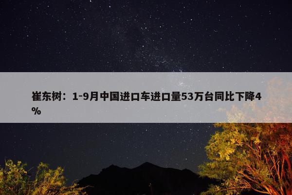 崔东树：1-9月中国进口车进口量53万台同比下降4%