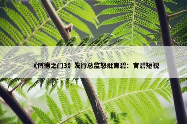 《博德之门3》发行总监怒批育碧：育碧短视