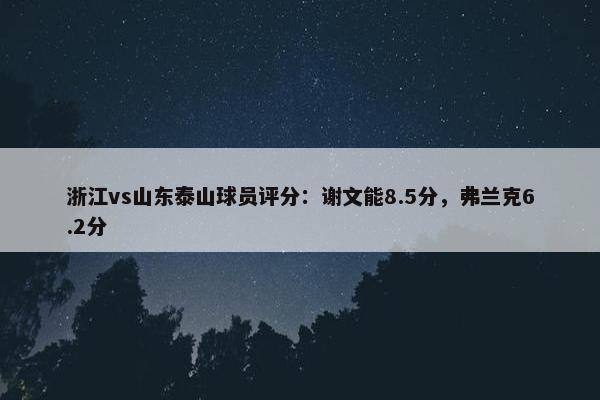 浙江vs山东泰山球员评分：谢文能8.5分，弗兰克6.2分