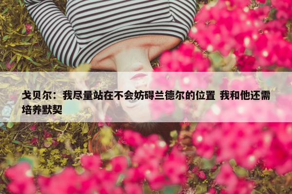 戈贝尔：我尽量站在不会妨碍兰德尔的位置 我和他还需培养默契