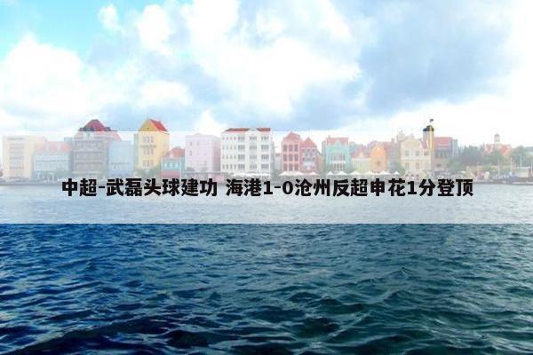 中超-武磊头球建功 海港1-0沧州反超申花1分登顶