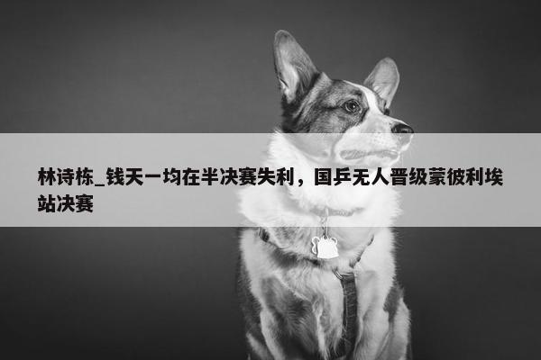 林诗栋_钱天一均在半决赛失利，国乒无人晋级蒙彼利埃站决赛