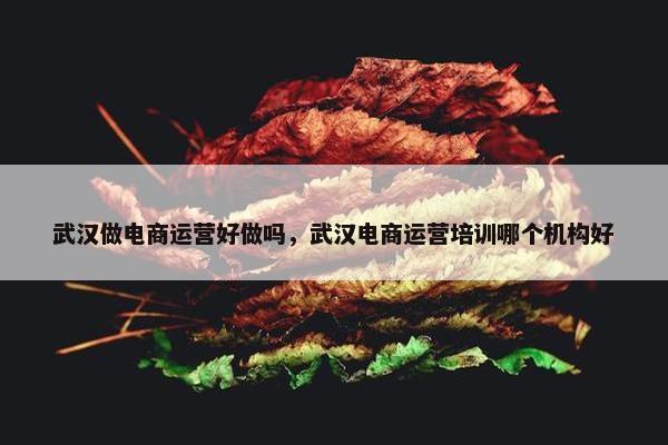 武汉做电商运营好做吗，武汉电商运营培训哪个机构好