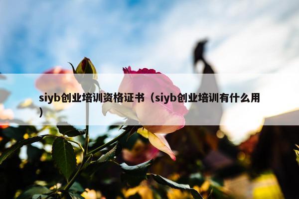 siyb创业培训资格证书（siyb创业培训有什么用）