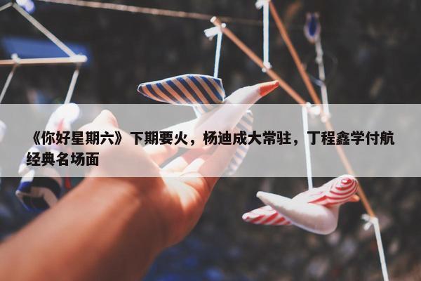 《你好星期六》下期要火，杨迪成大常驻，丁程鑫学付航经典名场面