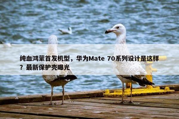 纯血鸿蒙首发机型，华为Mate 70系列设计是这样？最新保护壳曝光