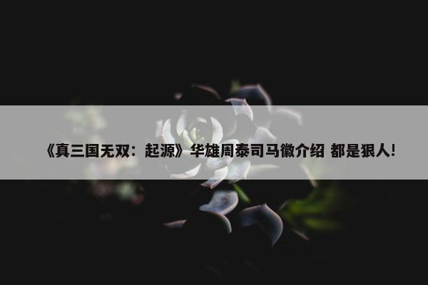 《真三国无双：起源》华雄周泰司马徽介绍 都是狠人!