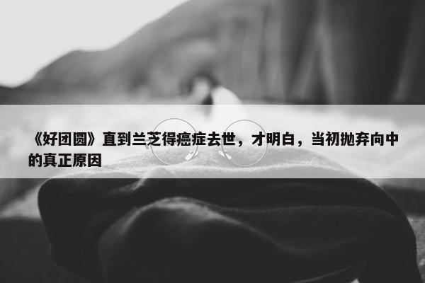 《好团圆》直到兰芝得癌症去世，才明白，当初抛弃向中的真正原因