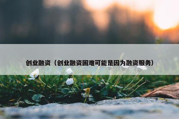 创业融资（创业融资困难可能是因为融资服务）