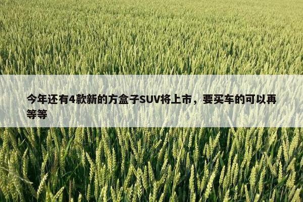 今年还有4款新的方盒子SUV将上市，要买车的可以再等等