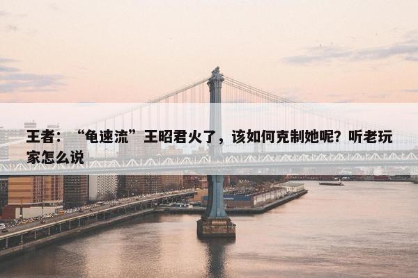 王者：“龟速流”王昭君火了，该如何克制她呢？听老玩家怎么说