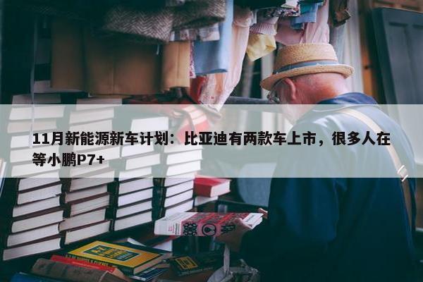 11月新能源新车计划：比亚迪有两款车上市，很多人在等小鹏P7+