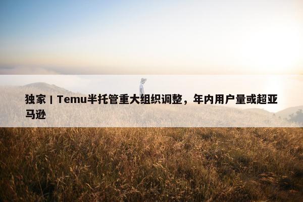 独家丨Temu半托管重大组织调整，年内用户量或超亚马逊