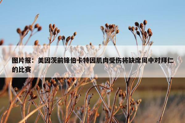 图片报：美因茨前锋伯卡特因肌肉受伤将缺席周中对拜仁的比赛