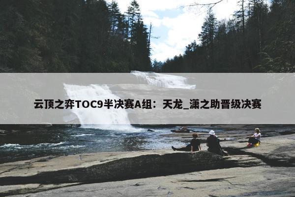 云顶之弈TOC9半决赛A组：天龙_潇之助晋级决赛