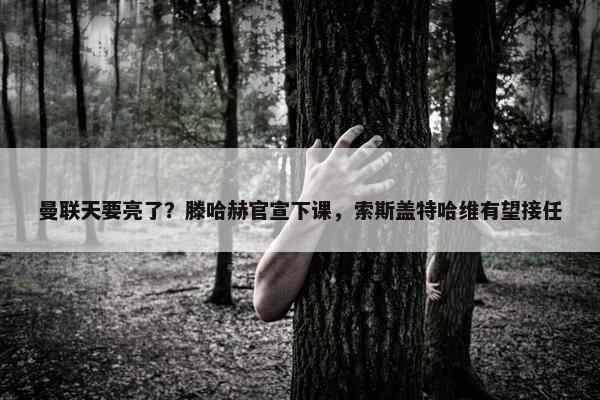 曼联天要亮了？滕哈赫官宣下课，索斯盖特哈维有望接任