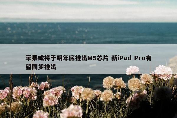 苹果或将于明年底推出M5芯片 新iPad Pro有望同步推出